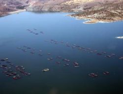 Kayseri, Alabalık Üretiminde İlk Üç İl Arasında