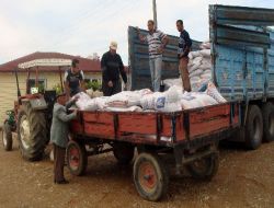 Çiftçilere Destek İçin Düşük Ücretli Buğday Dağıtılıyor