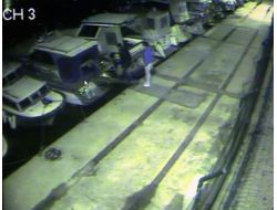 Lüks Yat Fareleri Kameraya Yakalandı