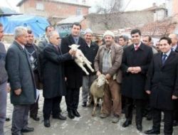 Köylüye Koyun Ve Fidan Dağıtıldı