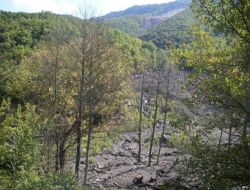 Bursa'nın Su Havzaları Tehlike Altında