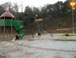 Rus Bakıcıların Çocuk Parkında Gezdirdiği Köpekler Tehlike Saçıyor