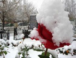 Erzurum Beyaza Büründü, Hava Ve Karayolu Ulaşımı Aksadı