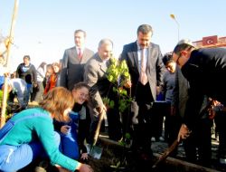 Mersin Ağaç Dikmede Bu Yıl Da Birinci Olacak
