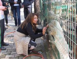 Tuzla'da Doğal Yaşam Parkı Sahipsiz Hayvanların Sıcak Yuvası Oldu