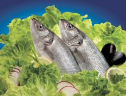 Ege Bölgesi Tarım Ürünleri İhracatı