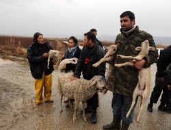 BÜYÜK MENDERES NEHRİ TAŞTI!