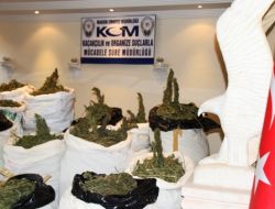 Mardin’de Pkk’ya Uyuşturucu Darbesi