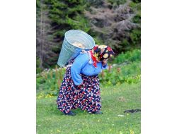 Karadeniz’in Coğrafi Yapısı Fiziki Hastalıkları Tetikliyor