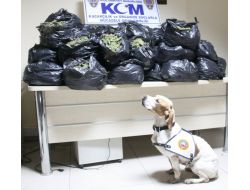 50 Kilo Esrarı Alanya’da Yakattılar