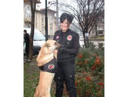 Dedektör Köpekler Geçit Vermeyecek!!