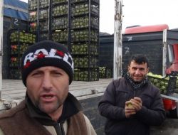 Yeni Hal Yasası Yürürlüğe Girdi