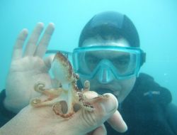 Atatürk Üniversiteli Öğrenciler, Dalış Eğitimlerini Kemer'de Yaptı