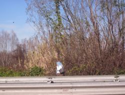 Çınarsuyu’nda Hayat Kadınları Otobanı Mesken Tuttu