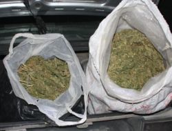 Batman’da 123 Kilo Esrar Ele Geçirildi