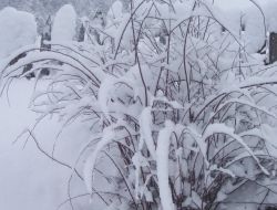 Kar Etkisi Göstermeye Başladı