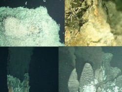 Dünyanın En Derin Sıcak Su Kaynaklarında Yaşam Keşfedildi