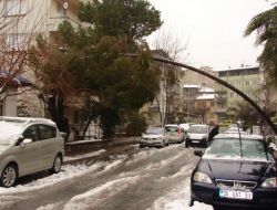 Denizli’de Kar Ağaçları Devirdi
