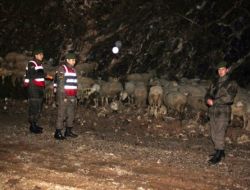 Küçükbaş Hayvanı Araca Yükleyemeden Kaçtılar