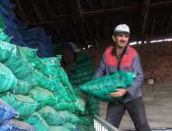 Havalar Soğudu, Kömür Fiyatları Düştü