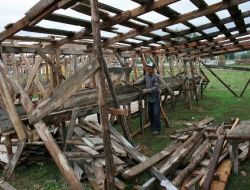 Pazarlarda Kurban Telaşı Başladı, Kurbanlık Fiyatları El Yakacak