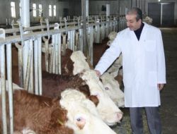 Bakan Eker: 22 Projeyi Dap Kapsamında Destekleyeceğiz