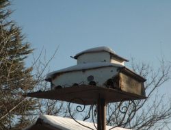 Karda Kayan Öğrencilerin Düşme Anı Kamaralara Saniye Saniye Yansıdı