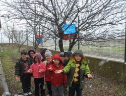 Kuşlar Üşümesin Diye Okul Bahçesine Yuva Yaptılar