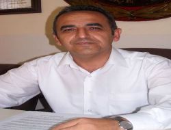 Mhp'li İl Genel Meclis Üyesi, Köpeğe Çarpmamak İçin Aracıyla Takla Attı