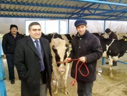 Cumayeri’n De Tarımsal Projelere Destek Devam Ediyor