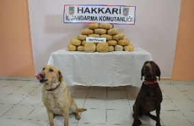 Hakkari'de 48 kilo toz esrar bulundu
