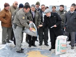 Karaman’da Protokol Ve Basın Mensupları Kuşlara Yem Verdi