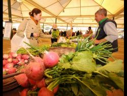 İzmir'in Tek Ekopazarında Kış Bereketi