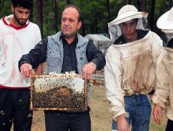 Arıcılar Sahte Ballardan Şikayetçi