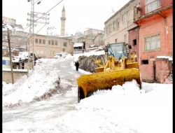 Bitlis'te Kar Hayatı Olumsuz Etkiledi