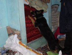 Gaziantep Polisi 24 Kilo Esrar Yakaladı