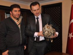 Yaral Baykuşa Kaymakam Günaydın Sahip Çıktı