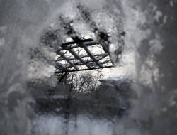 Soğuk Hava Herşeyi Buz Kesti