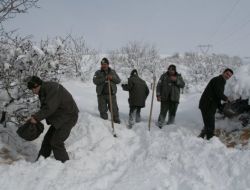 Yaban Hayvanları İçin Doğaya Yem Bırakıldı