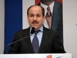 ‘milyonlarca Dolarlık Yatırımlar Üç-beş Zeytin Ağacına Takılıyor’