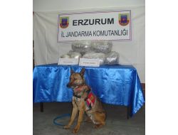 Jandarma 20 Kilo Esrar Ele Geçirdi