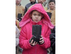 Pet Şişeleri Saksı Yaptılar, Bir Yılda 7 Bin Fidan Yetiştirdiler