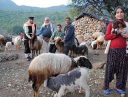 Yörükler, Yeşil Ardıç Projesi İle Toroslar'a 5 Bin Turist Çekecek