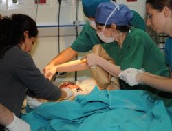 Türkiye'nin İlk Yüz Nakli Yapıldı