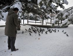 Bakanlıktan Vatandaşlara: Karda Yiyecek Bulamayan Kuşları Besleyin