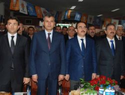 Ergin: Türk Demokrasisinin Önünü Açtık