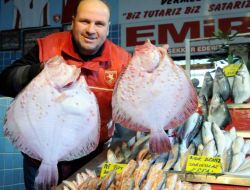 Kar Yağışının Ardından Lezzetlenen Hamsiyi Balıkçılar Mumla Arıyor