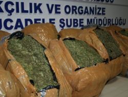 İzmir'de 62 Kg. Esrar Ele Geçirildi!