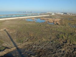 Başkan Yusuf Ziya Yılmaz: Sürdürülebilir Kentsel Gelişim Şart