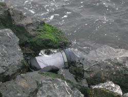 Yedikule Sahilinde Erkek Cesedi Bulundu